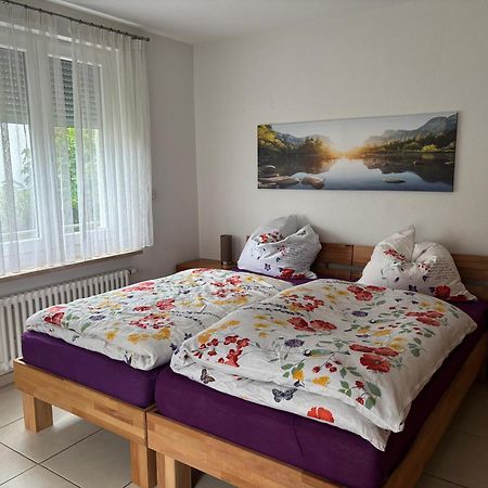 Klettgauperle - familien- und behindertengerechte Ferienwohnung Griessen Exterior foto